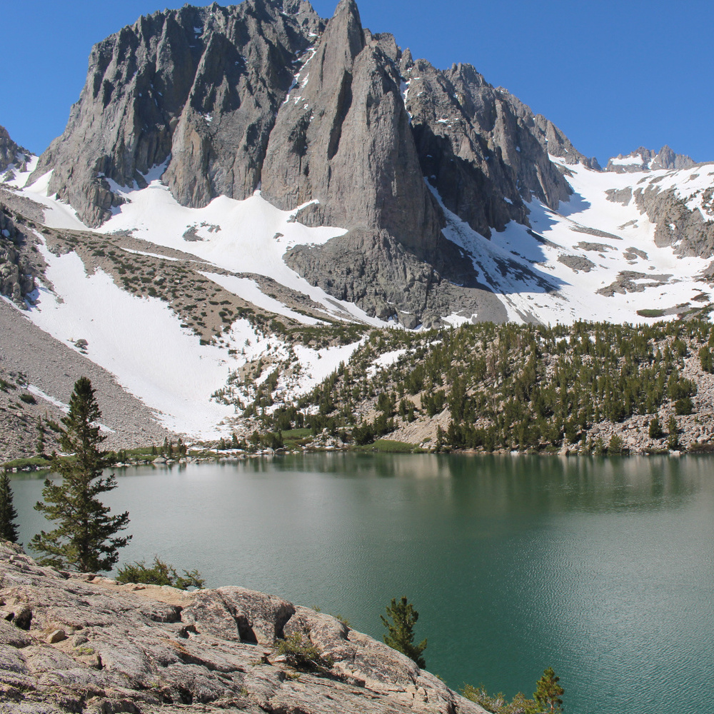 Meet your Posher, Rebel